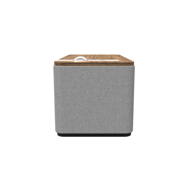 Klipsch The One Plus Aktif Bluetooth Hoparlör